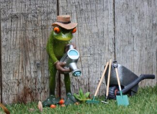 Czy warto przejść na abonament?