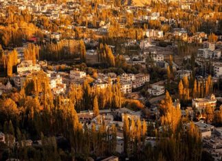 Co oznacza h przy procesorze?