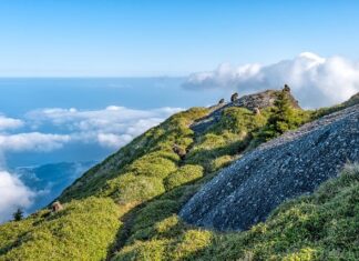 Jaka jest różnica między CPU a GPU?