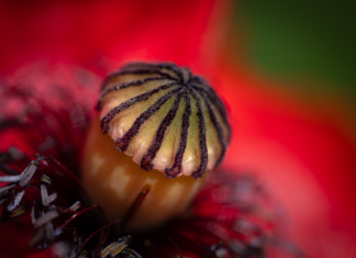 Czy 32 GB pamięci to dużo?