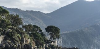 Ile kosztuje 1 AirPods?