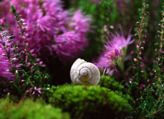 Czy obudowa komputera ma znaczenie?