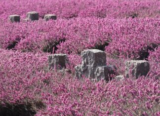 Co zrobić żeby mieć więcej pamięci na komputerze?