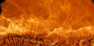 Do kogo należy marka Oppo?