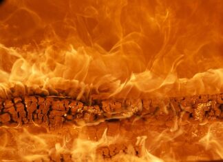 Do kogo należy marka Oppo?