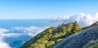 Jaka jest różnica między smartfonem a telefonem dotykowym?